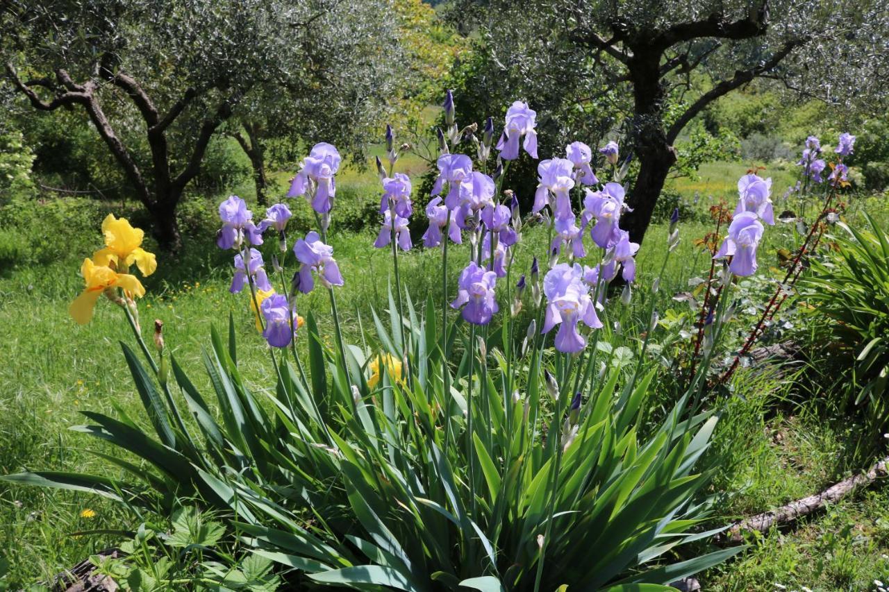 Bed & Breakfast Casa Lisetta Valtopina Exterior photo
