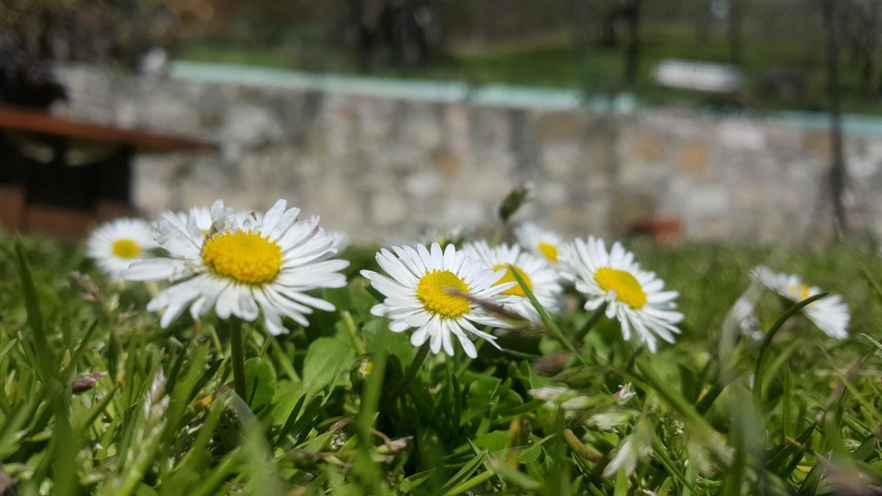 Bed & Breakfast Casa Lisetta Valtopina Exterior photo