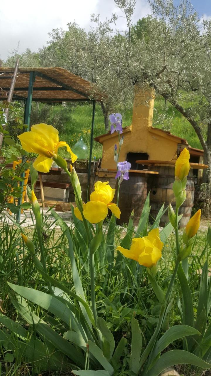 Bed & Breakfast Casa Lisetta Valtopina Exterior photo