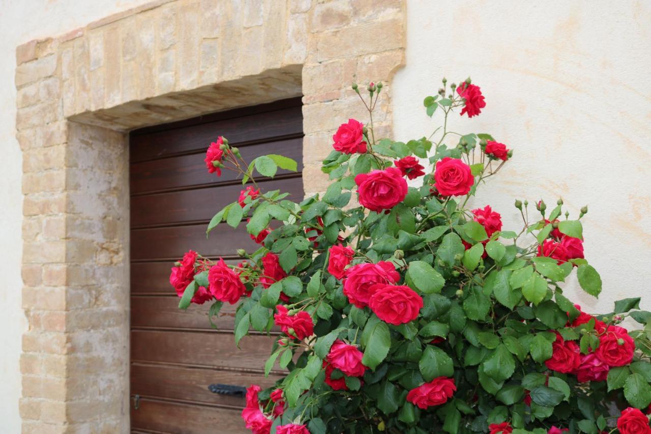 Bed & Breakfast Casa Lisetta Valtopina Exterior photo