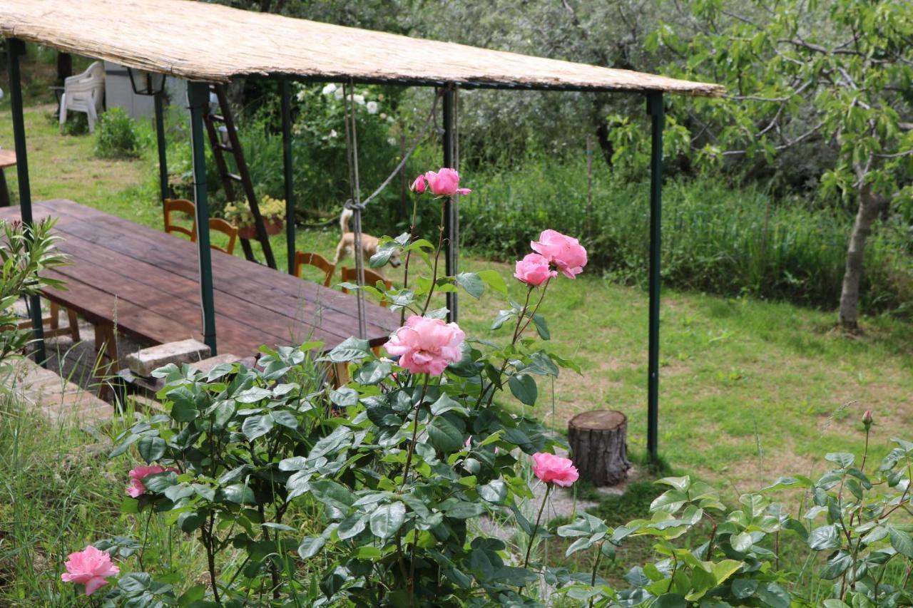 Bed & Breakfast Casa Lisetta Valtopina Exterior photo
